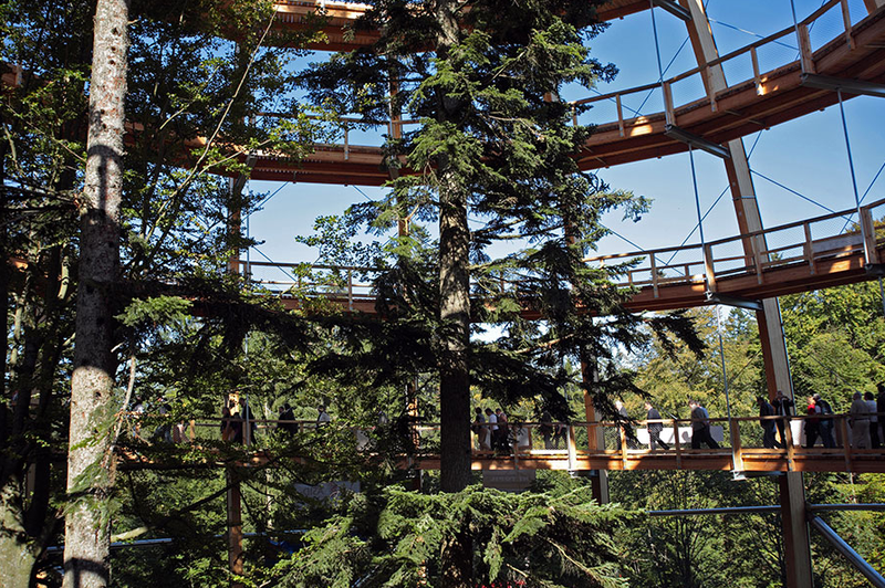 Illustration for article titled Germany's new 18-story Tree Top Walk is shaped like a giant egg